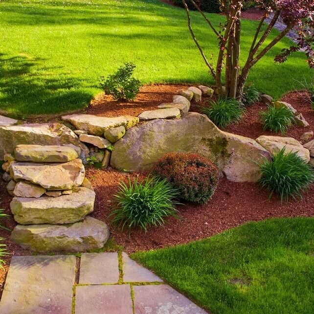 A garden with rocks and plants in the middle of it